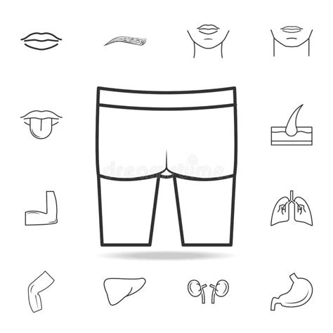 Buttocks Vector Art, Icons, and Graphics for Free。